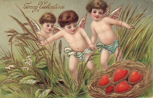 Three Little Angel Boys Grass Hearts Nest Valentine's Day Postcard