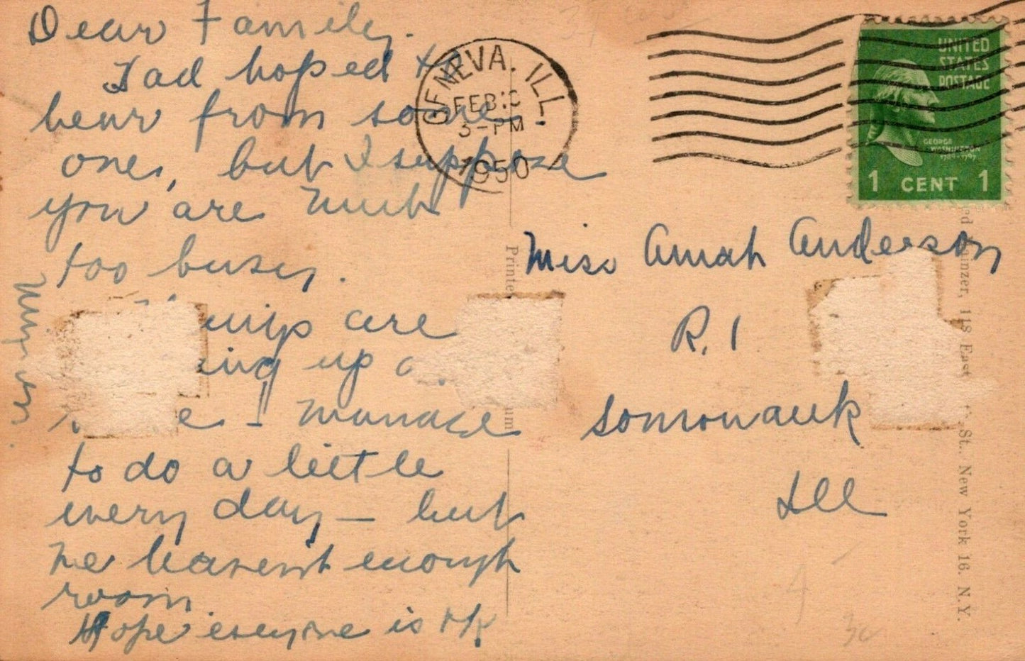 Two Kittens with Tongues Sticking Out as if to say "Blah!" Cat Animal Postcard