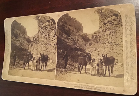 1894 Real Photo Young Explorers Williams Canyon Colorado CO Donkeys Stereoview