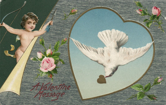 John Winch Dove Carrying Heart Pink Roses Cupid Valentine Postcard