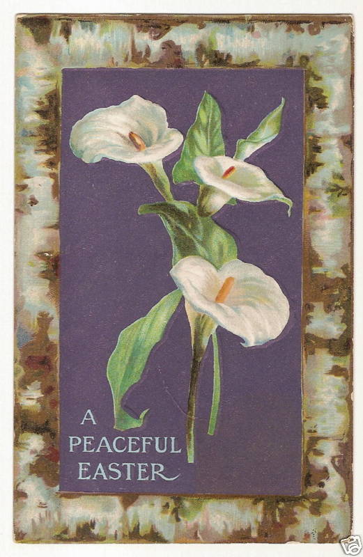 Lily Easter Postcard Series Flower