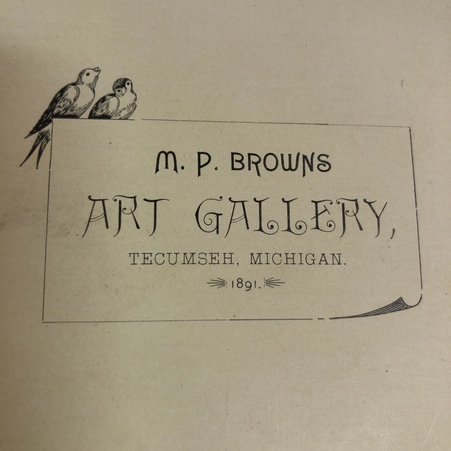 Victorian Real Photo CDV Baby long gown MP Browns Art Gallery Tecumseh MI 1891