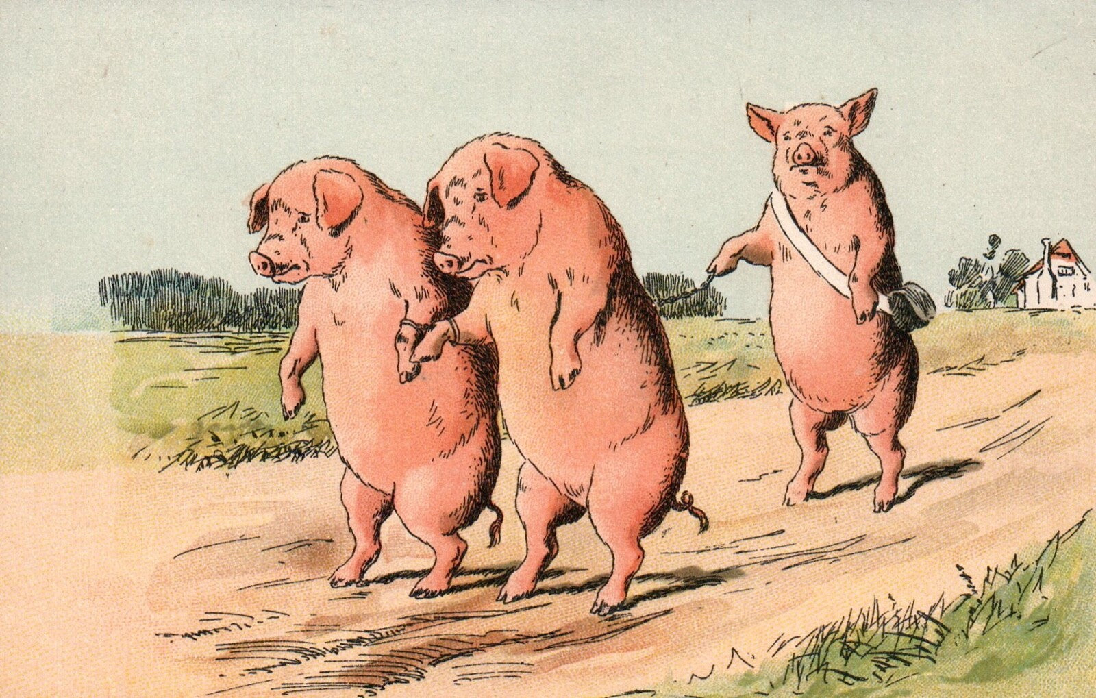 Sad Prisoner Pigs in Chains Walking Along the Farm Path Vintage Pig Postcard