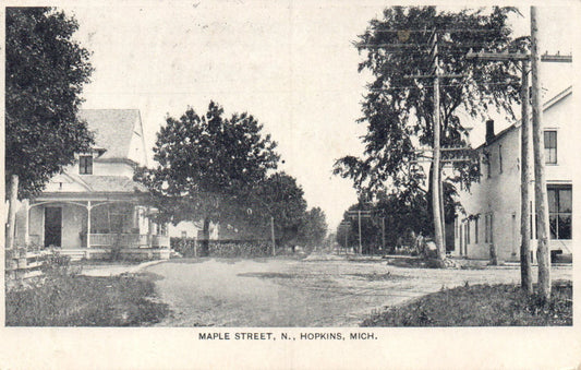 Maple Street in Hopkins Michigan MI Postcard