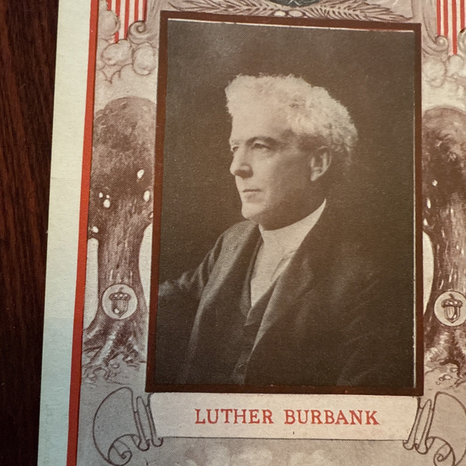 Luther Burbank by J I Austen Postcard Angels Trumpets c1910's *Scarce