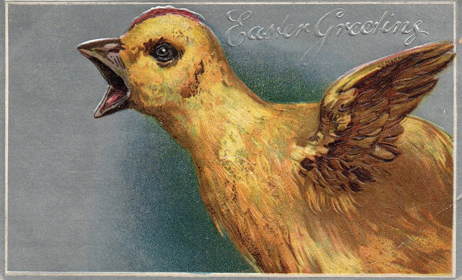 Embossed Silver Metallic Chick With Spread Wings and Open Beak Easter Postcard 