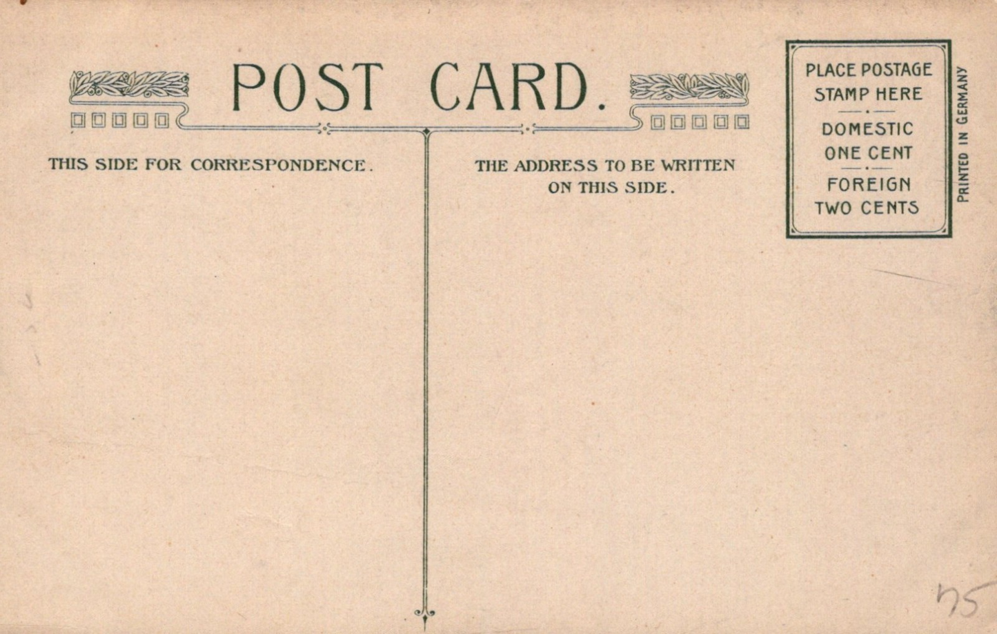 Best Wishes Catherine Klein Artist Signed Fruit  Green Pottery Vase Post Card