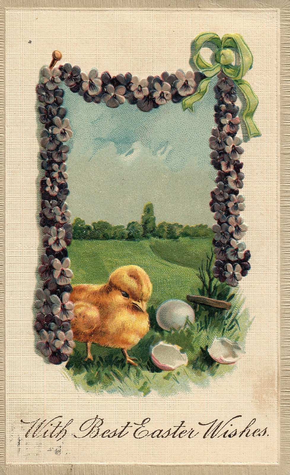 PFB Chick Hatching Egg Purple Violet Easter Chick Postcard