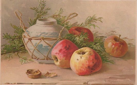 Vintage Artist Signed Catherine Klein Fruit Apples White Purple Grapes Post Card
