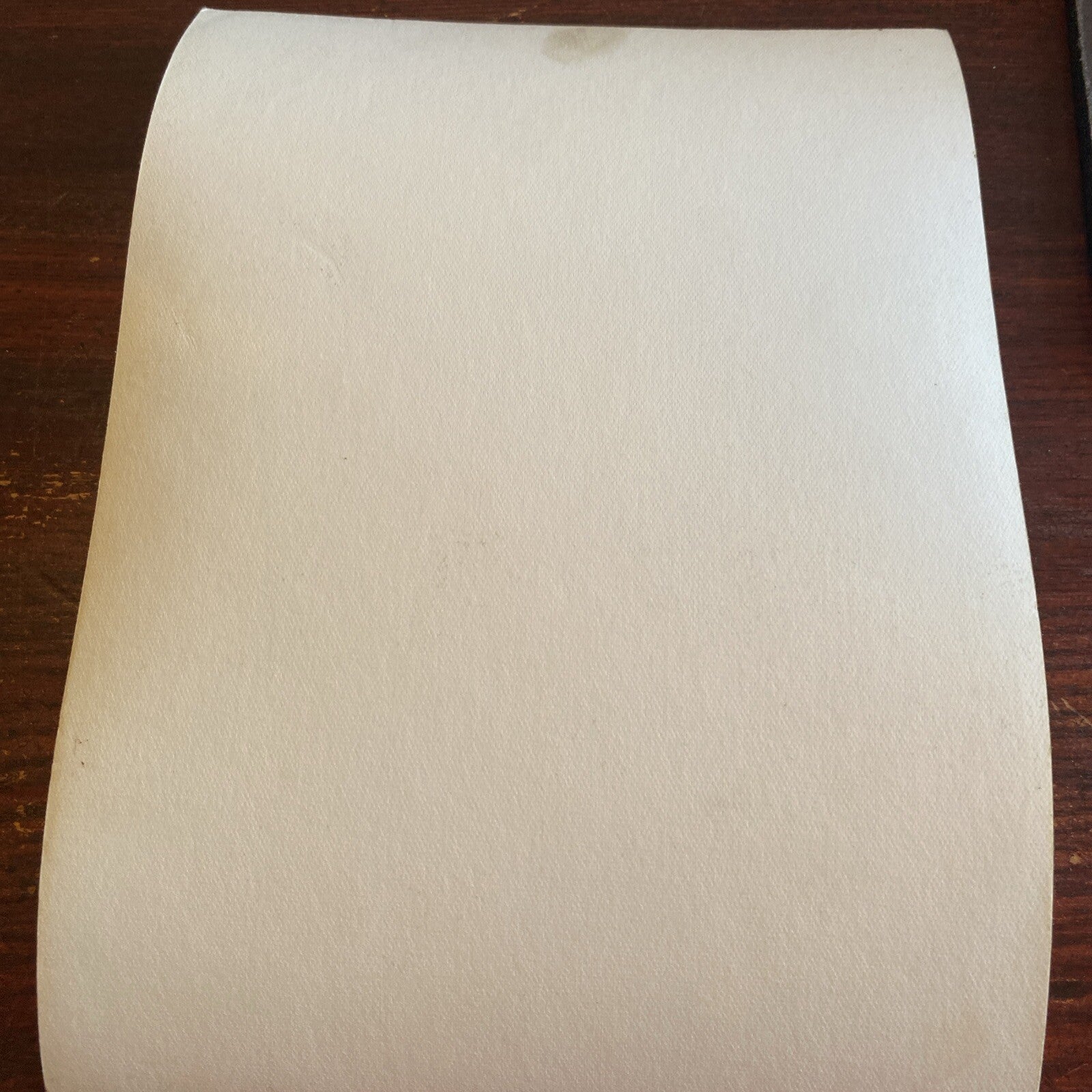 Hollywood  AUTOGRAPHED INK Real PHOTO Barbara Brown Personalized  Signed 5 x 7