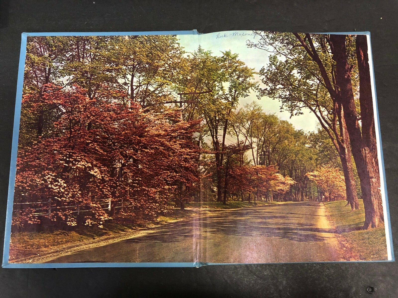 1963 Ionia Michigan MI Yearbook Rick Baby Pictures Sport High School Junior High