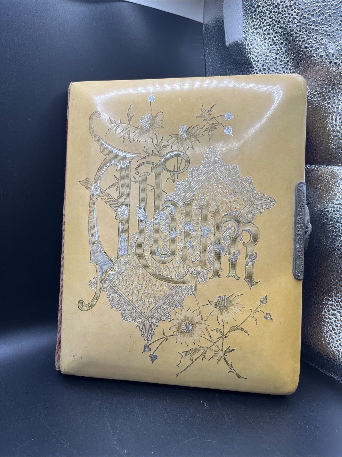 Antique Victorian Celluloid Photo Album