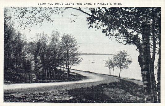 Beautiful Drive Along the Lake in Charlevoix Michigan MI Postcard
