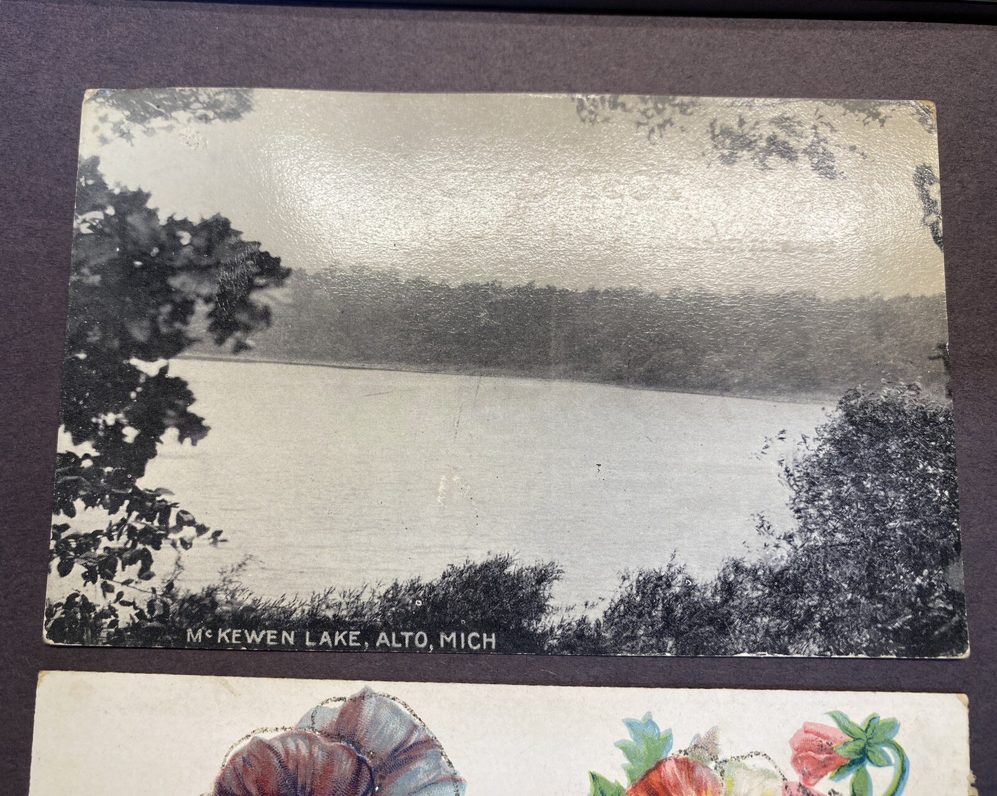 Lot of 3 Alto Michigan Mich MI Postcard Flowers & McKewen Lake