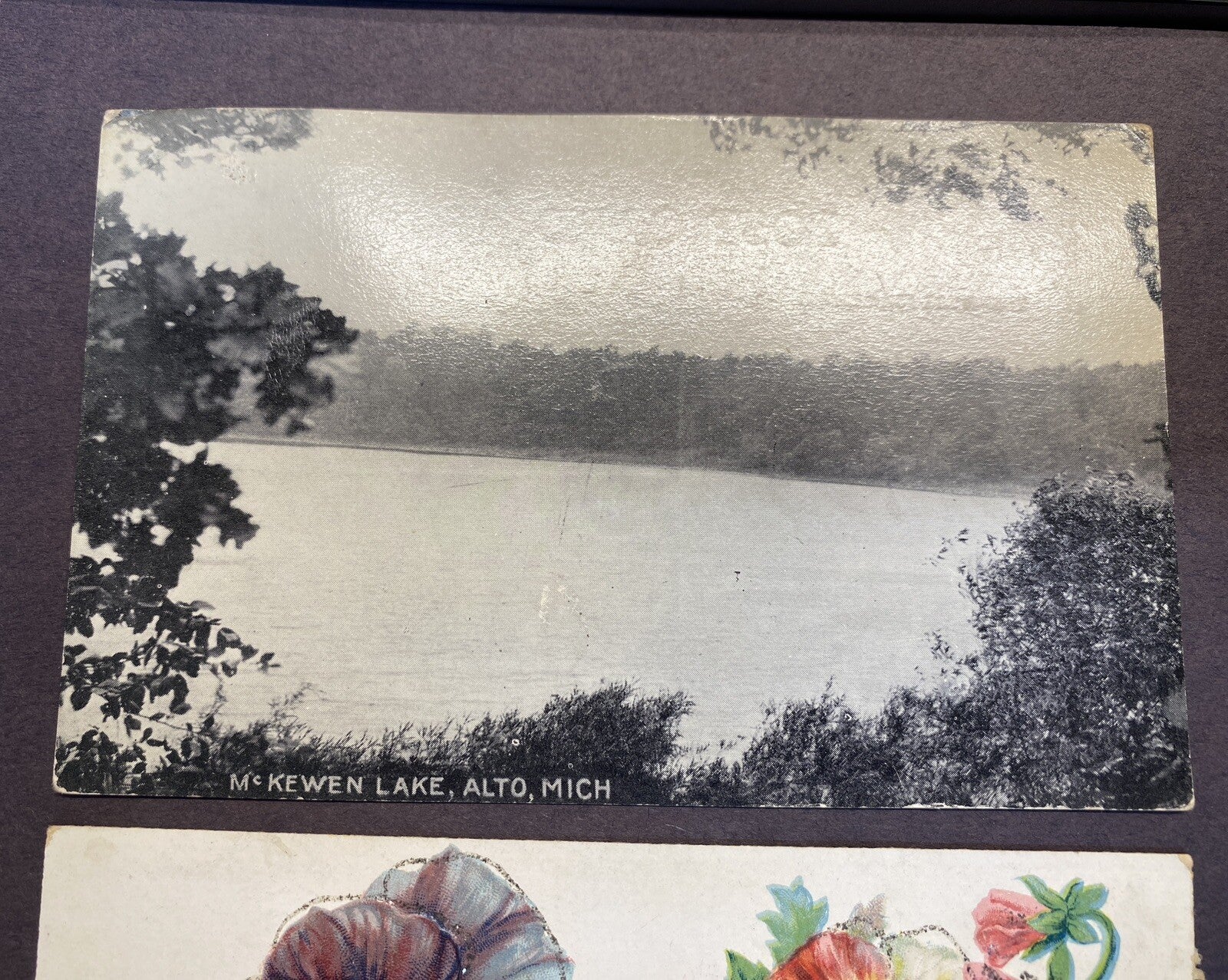 Lot of 3 Alto Michigan Mich MI Postcard Flowers & McKewen Lake
