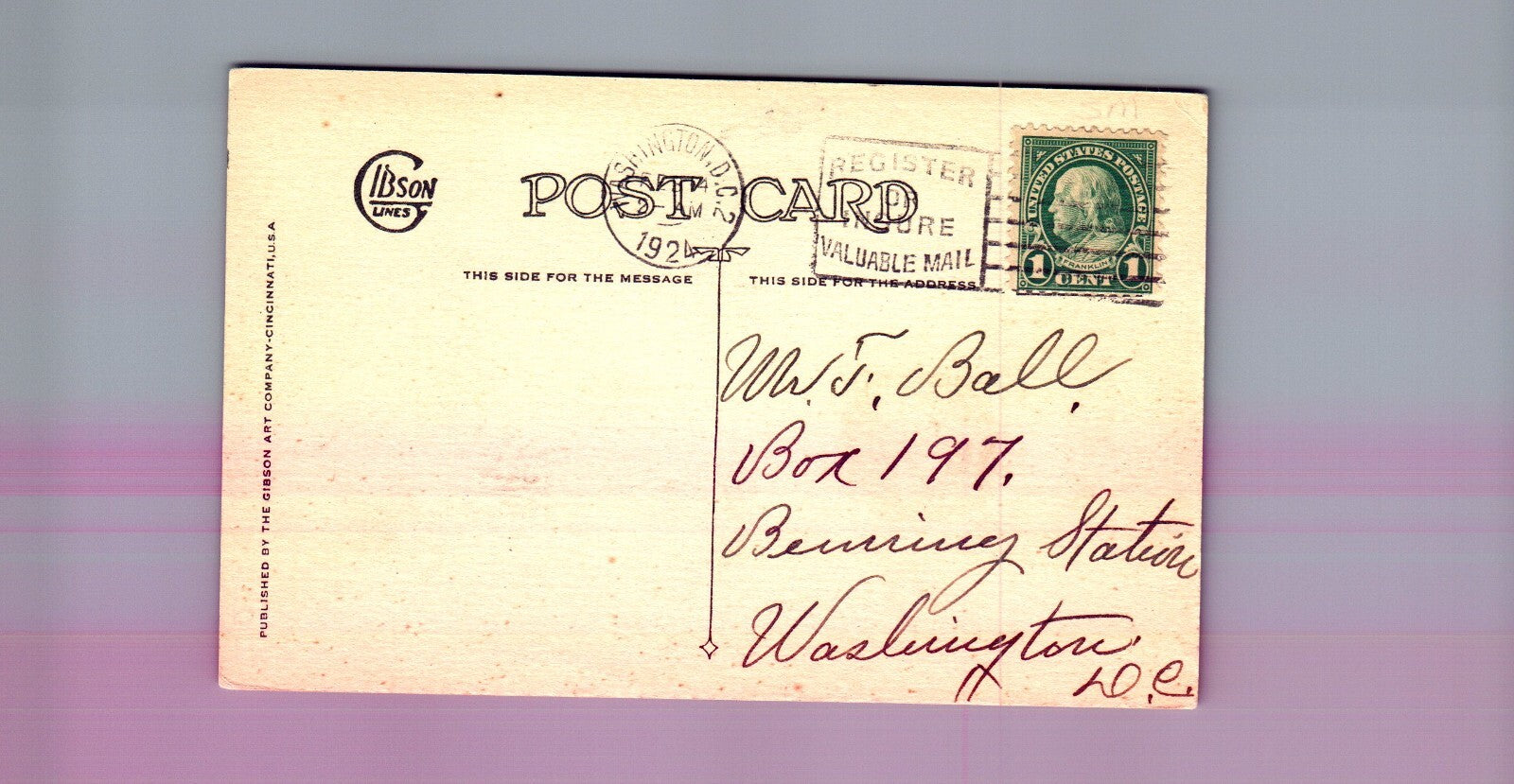 Postcard Valentine Kewpies Violets Blue Hello Artist Rose O'Neill Gibson c1915