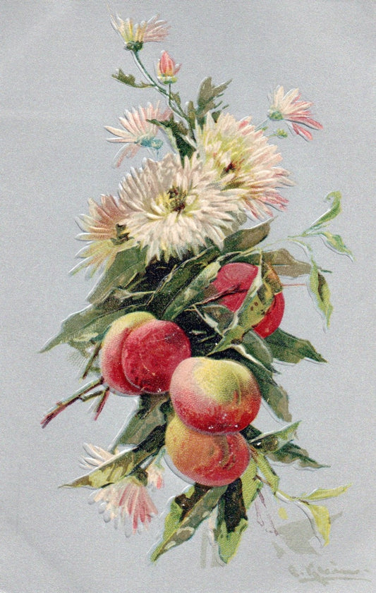 Artist  Catherine Klein Flowers and Fruit