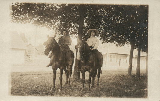 Horse and People Real Photo Postcard