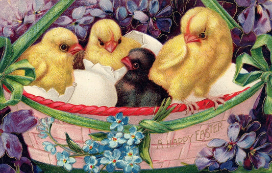 A Happy Easter Chicks Hatching in Basket Gloss Vintage Easter Postcard