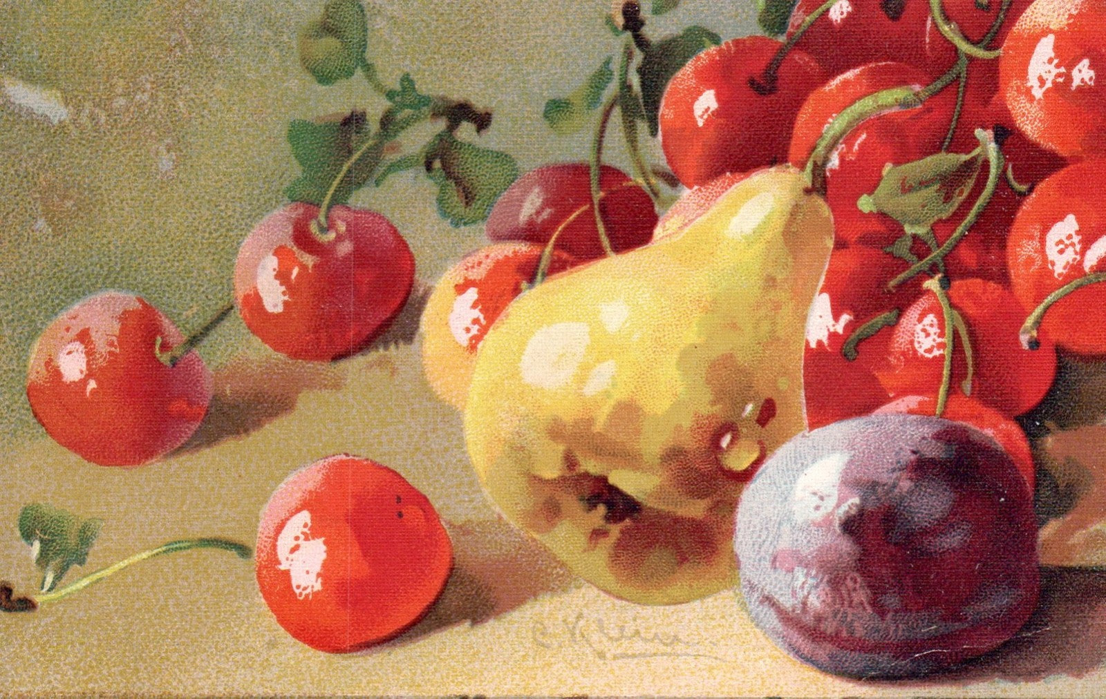 Artist Signed Catherine Klein Pear Cherries Plum