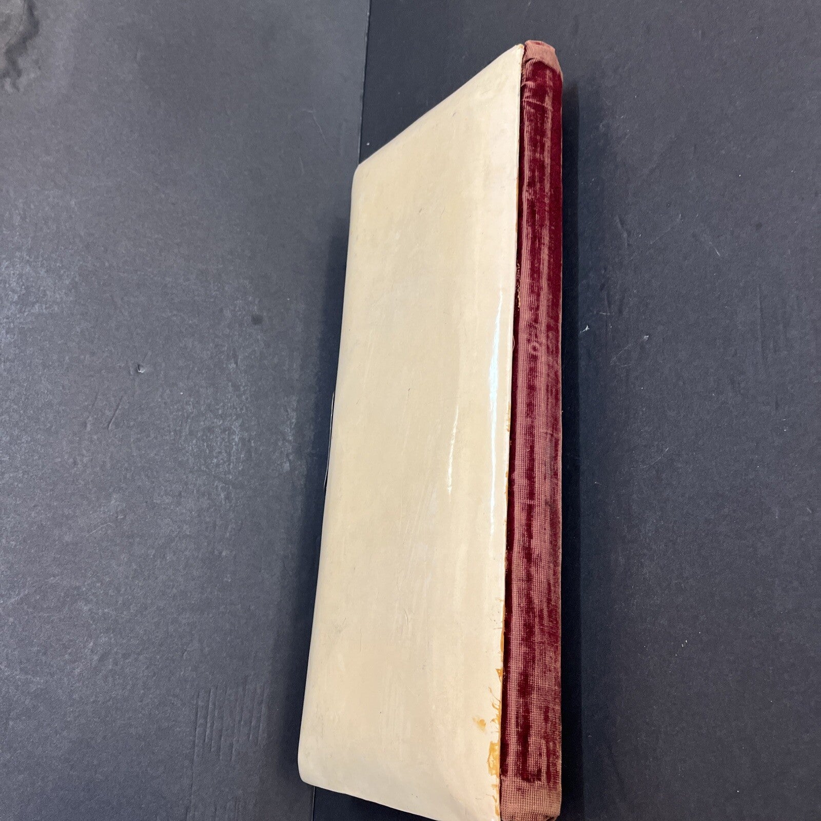 Vintage photograph photo album