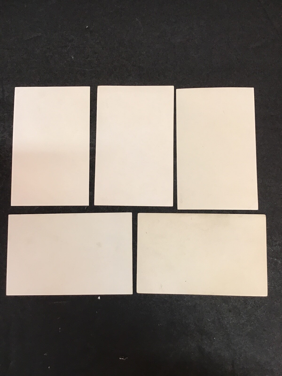 Lot of 5 Various Exotic Colorful Birds Set of Postcards