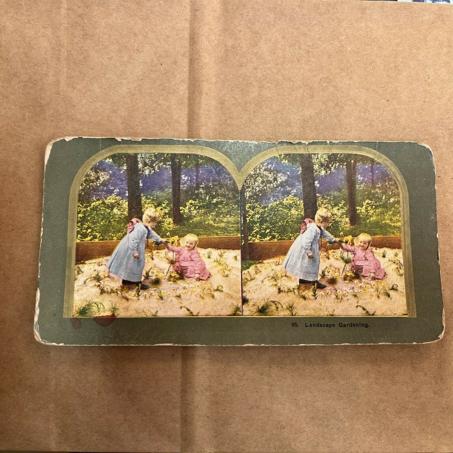 LANDSCAPE GARDENING KIDS, POLYCHROME STEREOVIEW Color Card