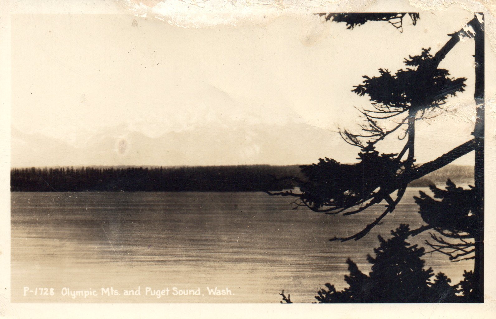 Olympic Mountains and Puget Sound Washington Postcard WA Real Photo1939-1950
