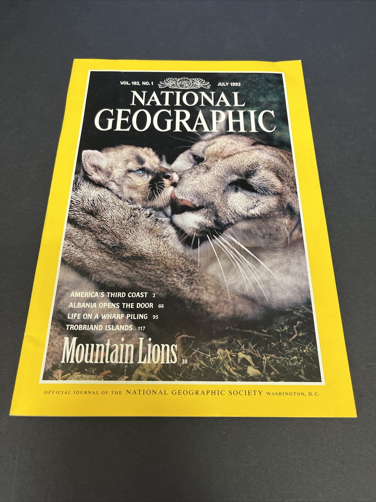 July 1992 National Geographic "Mountain Lions"
