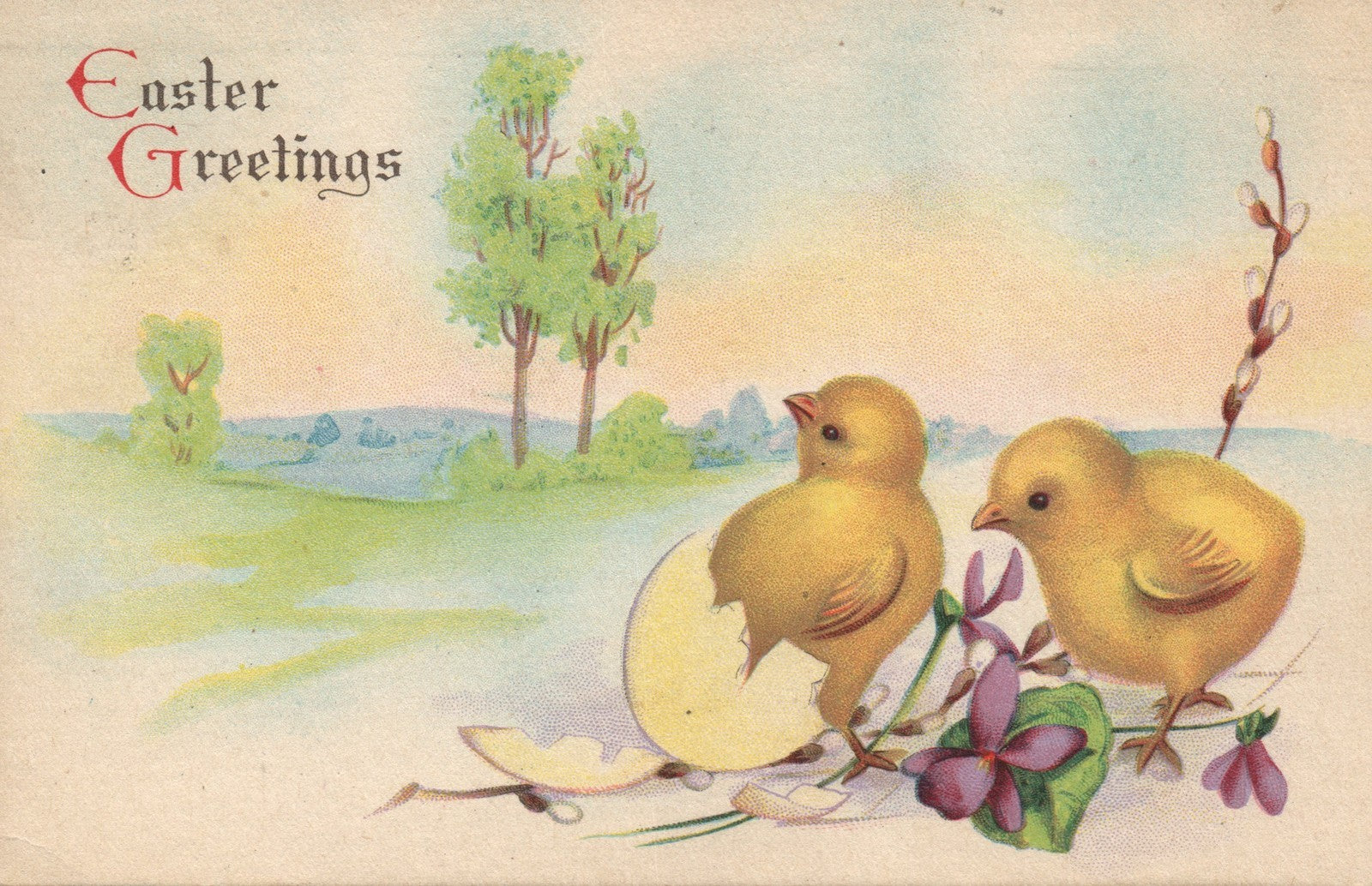 Stecher Chick Hatching Egg Violet Easter Chick Postcard