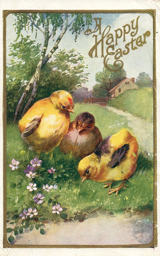 A Happy Easter Chicks Looking For Food In the Farm Yard Vintage Easter Postcard
