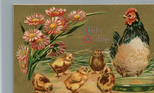Embossed Easter Greeting Hen with Chicks Coneflower vintage postcard