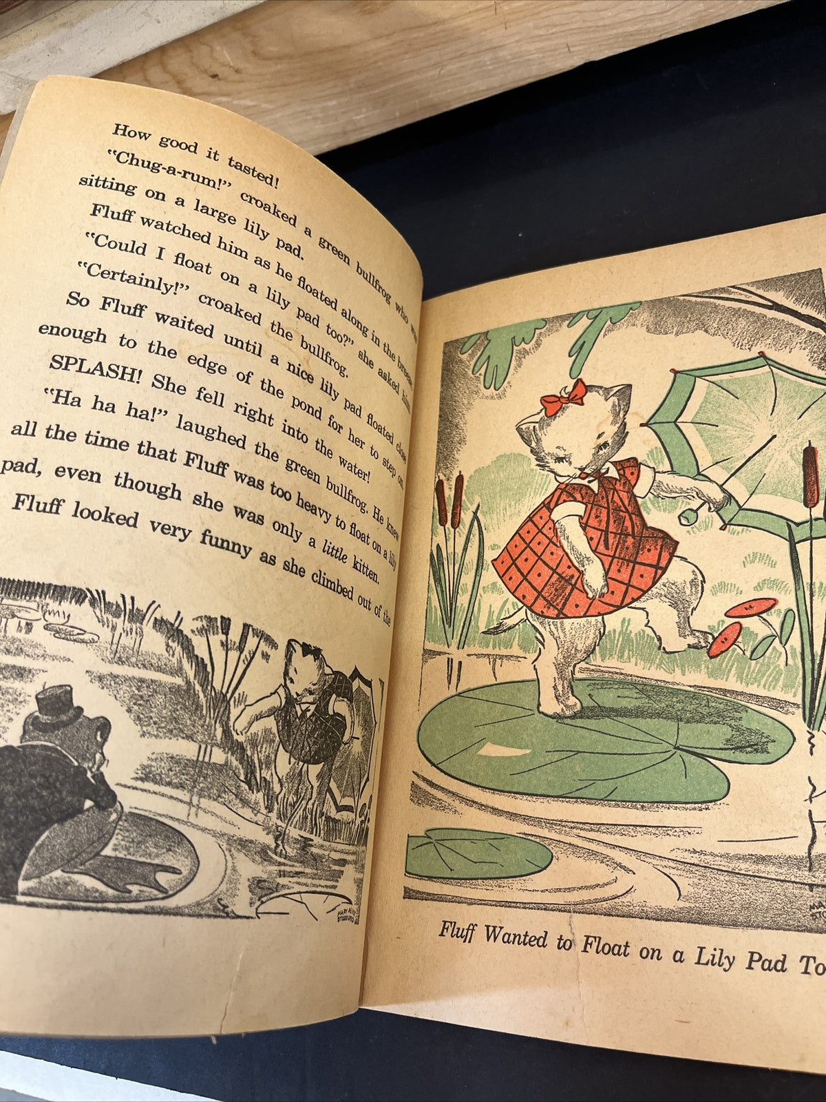 Very Rare 1939 Little White Kitten Children Book By June Scheckler Whitman Publi