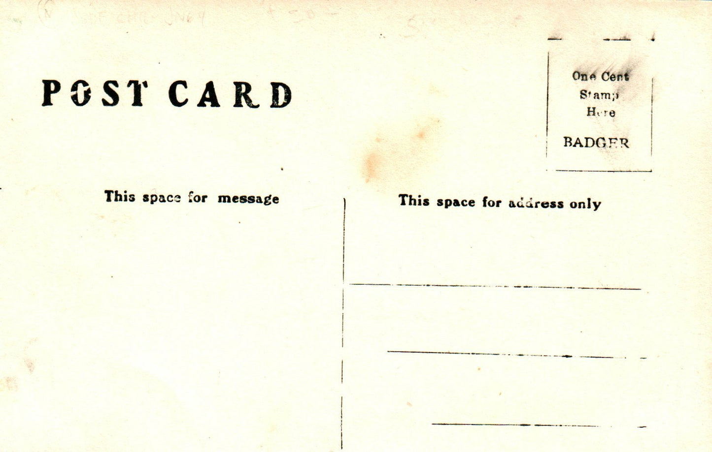 The First and Only Buffaloes Driven To A Vehicle Sunfield Michigan MI Postcard