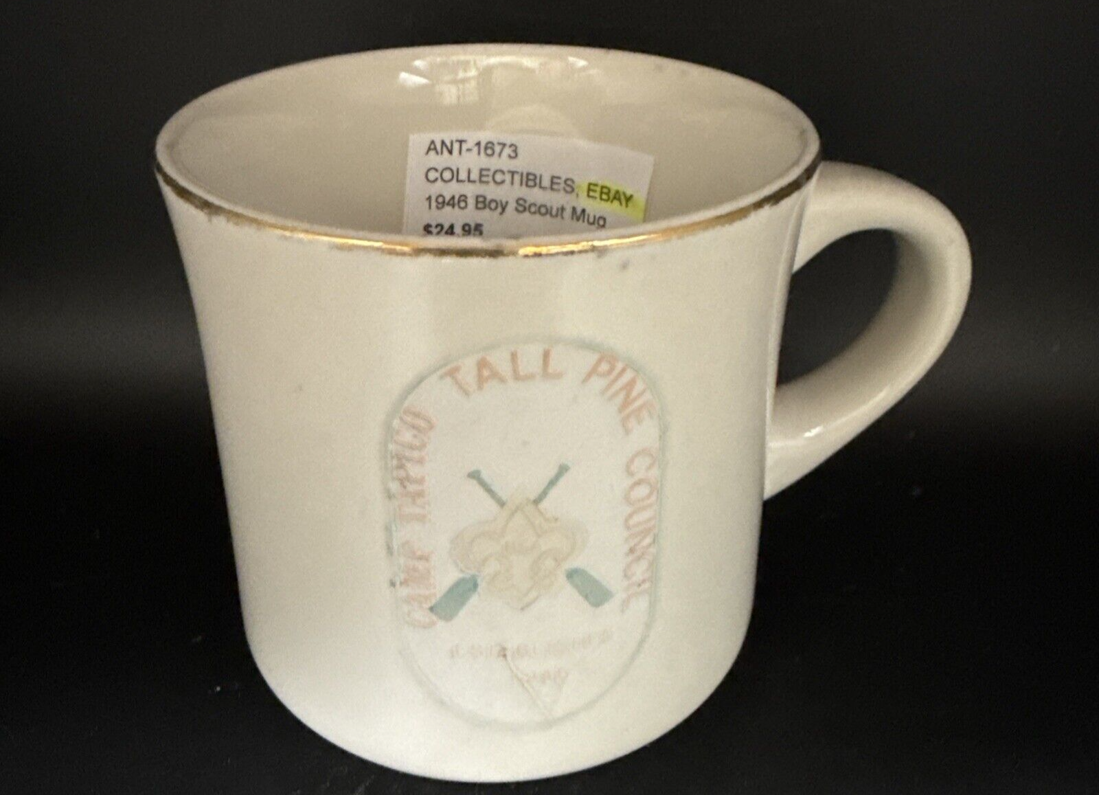 RARE 1946 BSA Boy Scouts of America Cub Scouts Camp Tapico Tall Pine Council Mug
