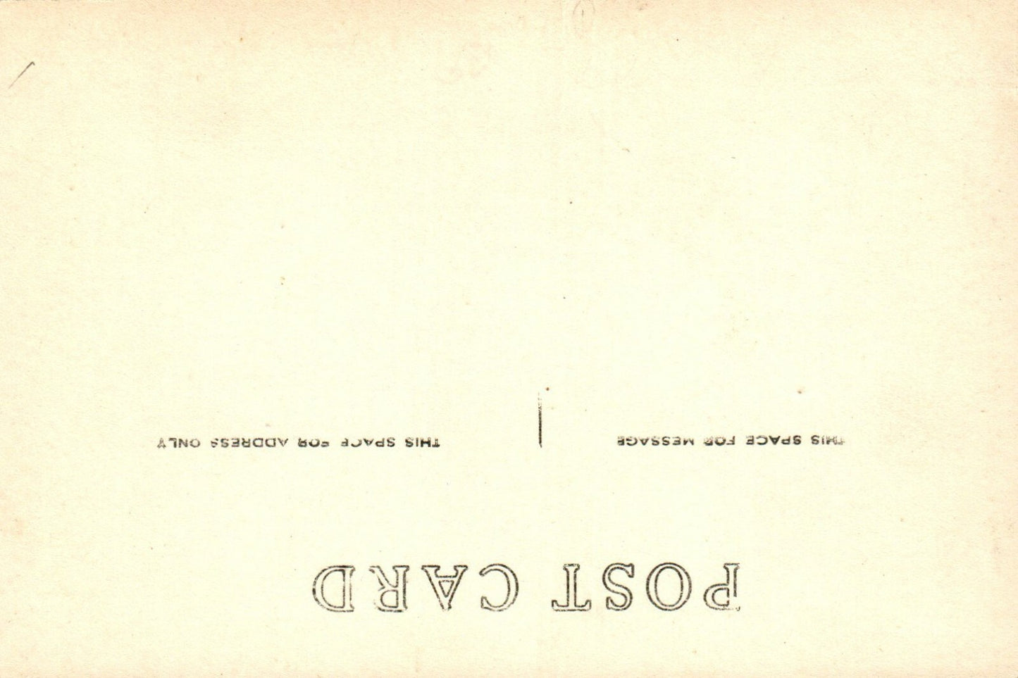 Real Photo Water Works M G Sebald Hastings MI Michigan Postcard  