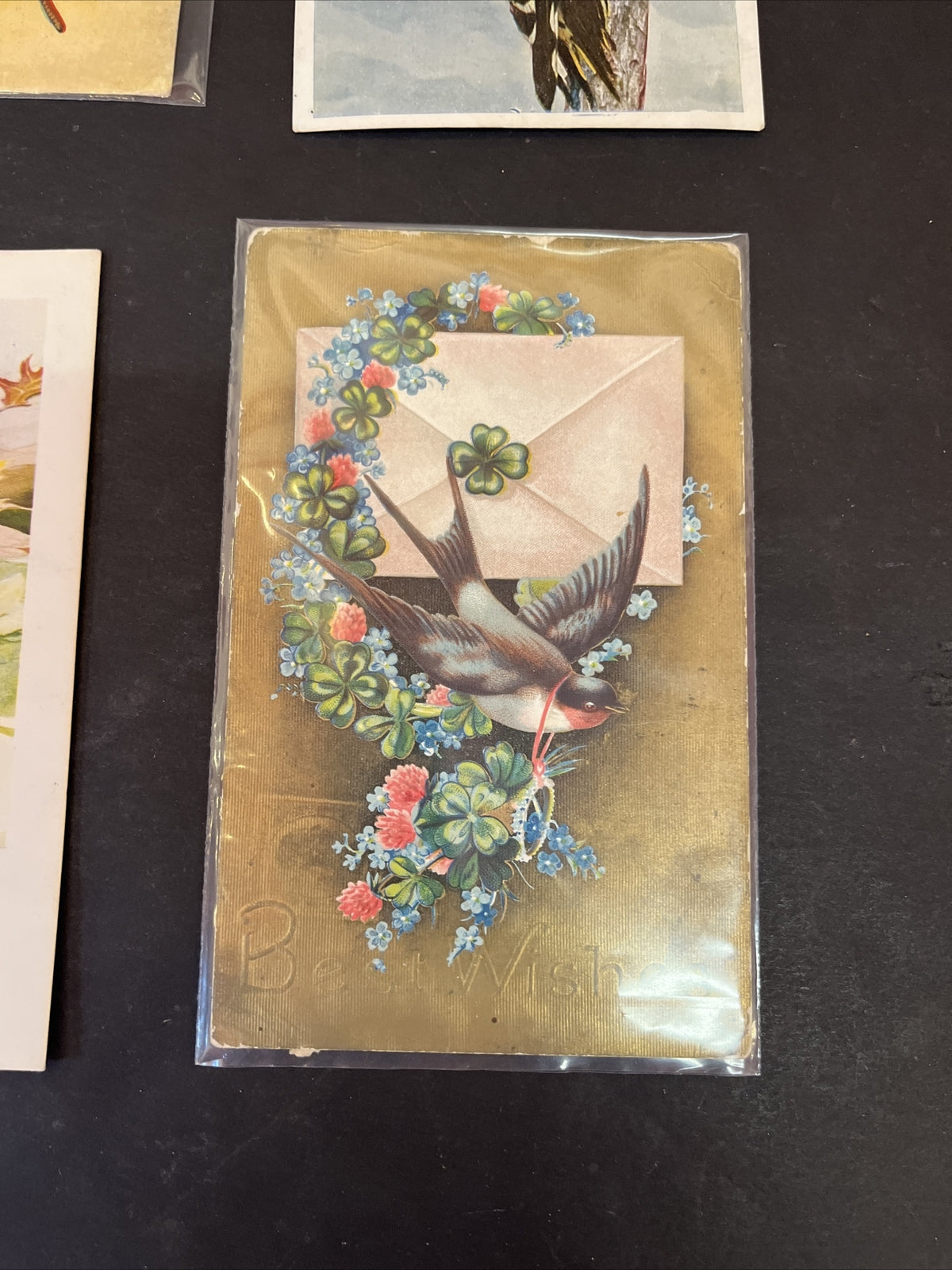Set of 6 NEW Bird Postcards