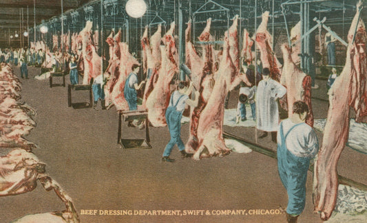 Swift & Company Beef Dressing Cooler Chicago Il ILL Illinois Postcard #2