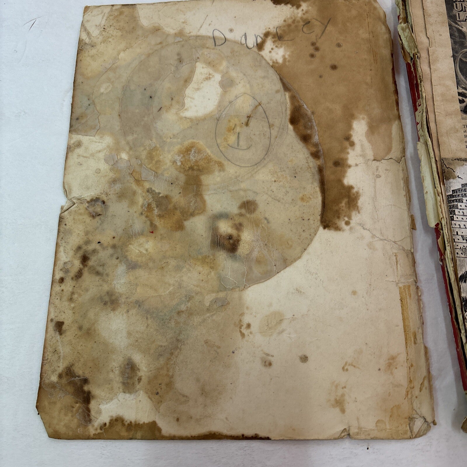 THE DINOSAUR SCRAPBOOK Book B&W Illustrated Donald Glut