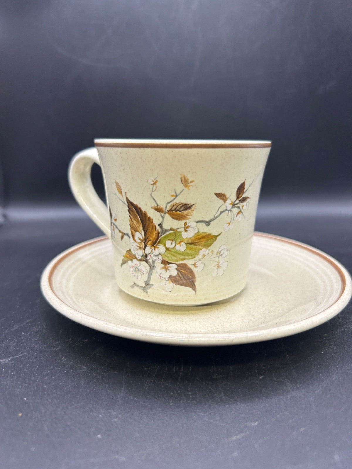 Royal Doulton WILD CHERRY Cup & Saucer Made in England Lambethware 1979