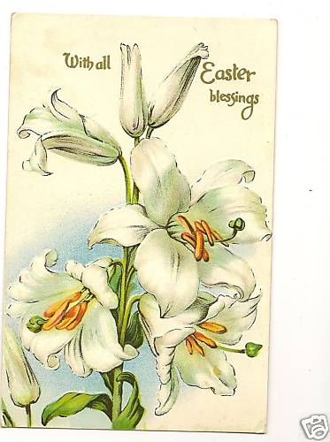 Large Easter Lily Flower Embossed  Postcard