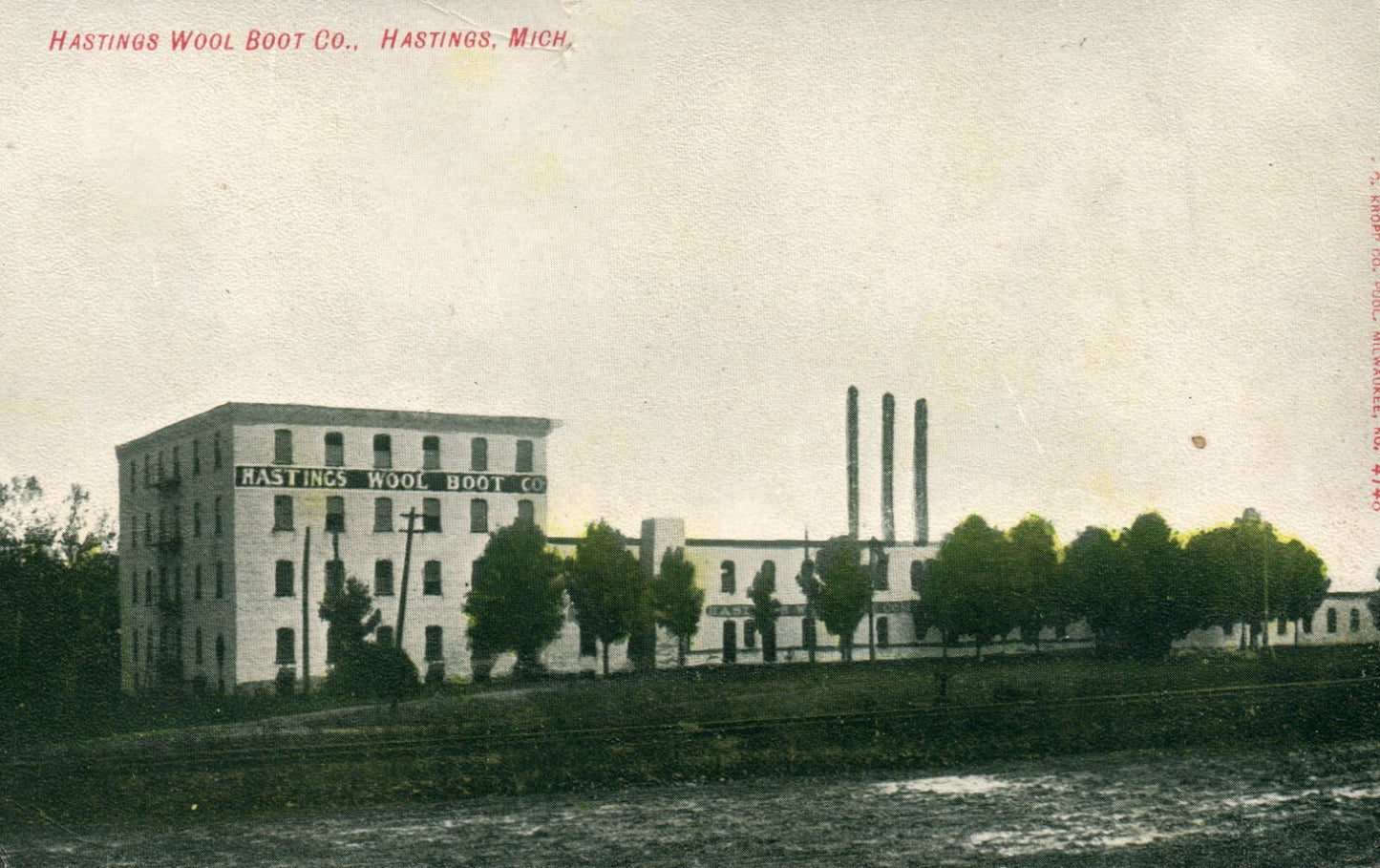 Real Photo Hastings Wool Boot Co. Hastings MI MICH Michigan Postcard Trees