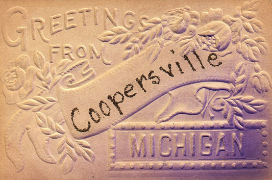Greetings From Coopersville MI Michigan Postcard
