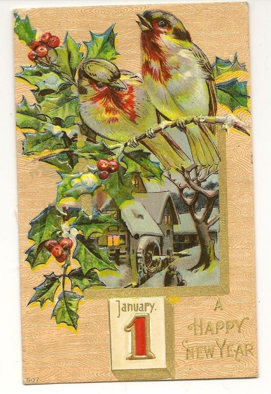 New Year Holiday Birds Holly  Postcard Series 507