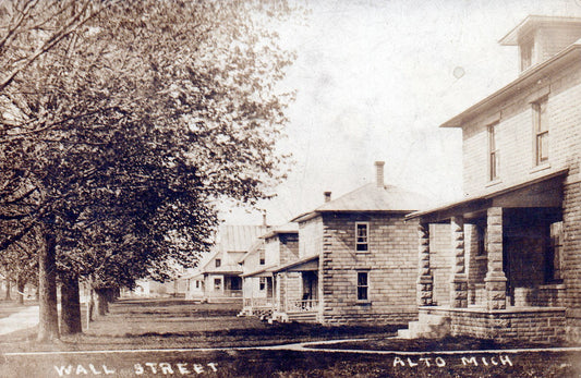 Wall Street Alto Michigan Mich MI Real Photo Postcard 