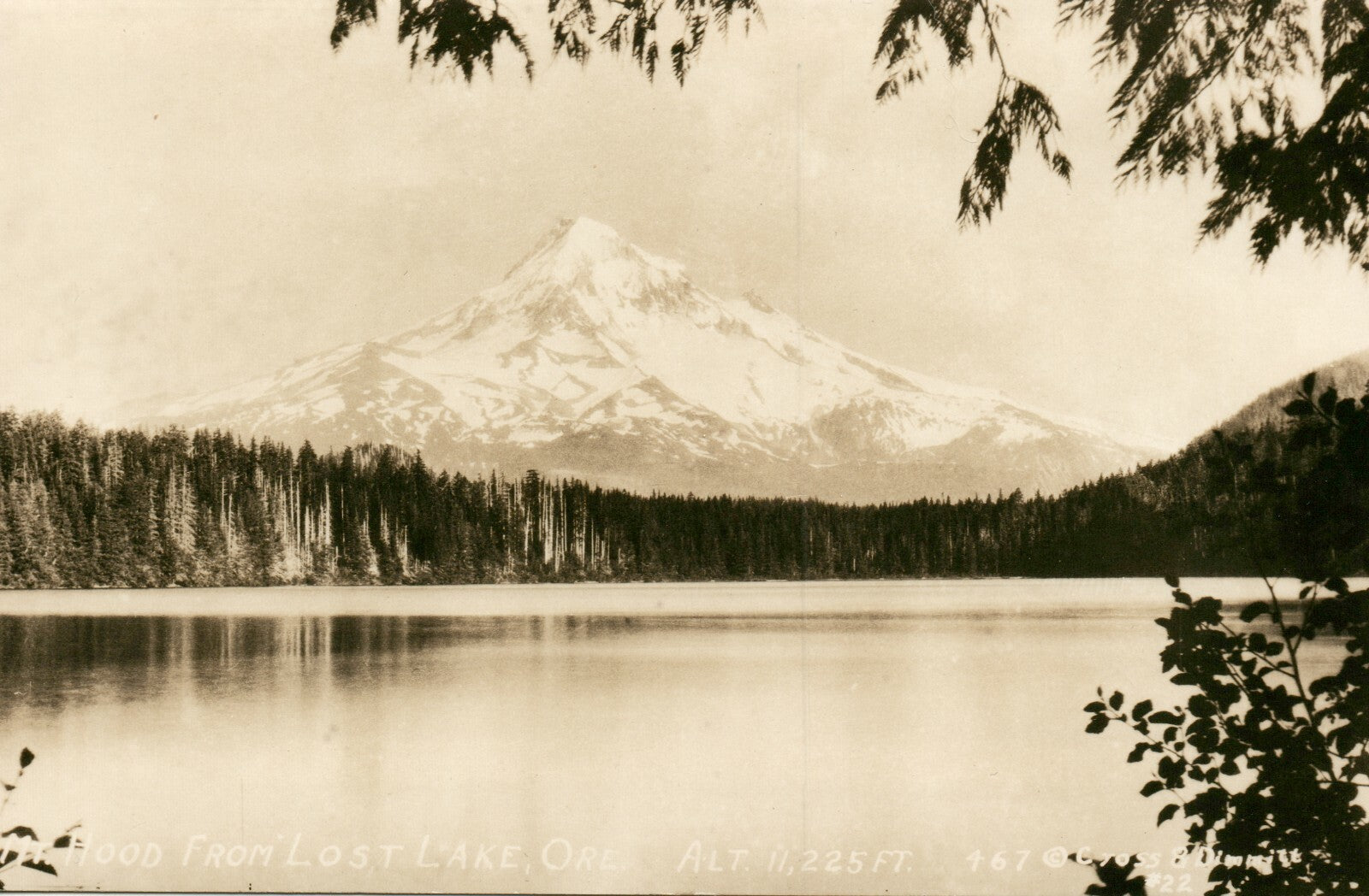 Mount Hood from Lost Lake OR Oregon 467 Postcard