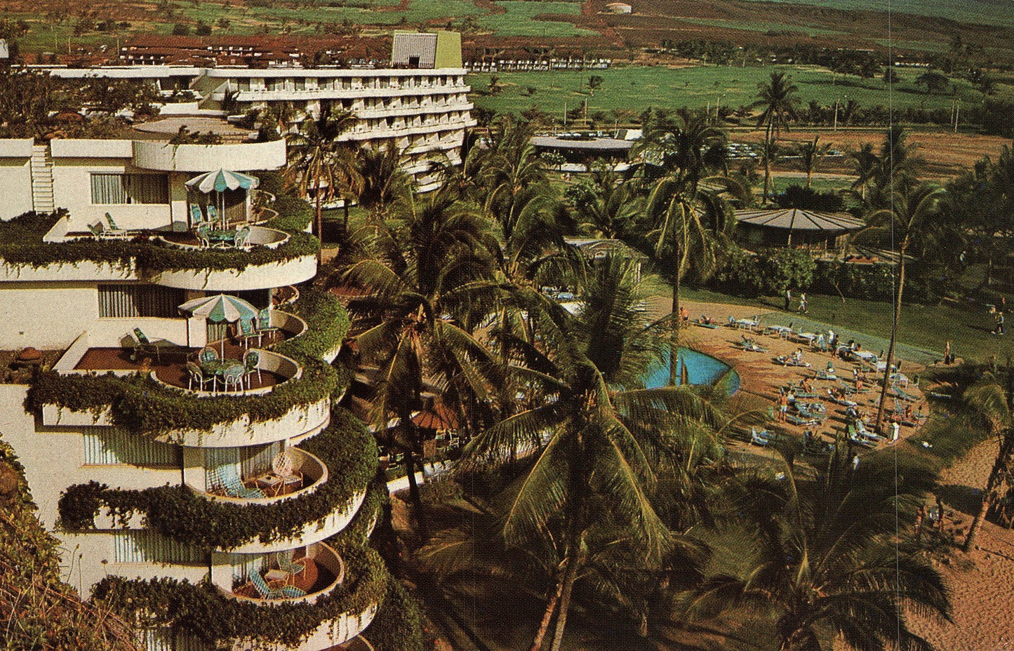 Sheraton Maui Hotel Early Day Capital City Hawaii Vintage Postcard
