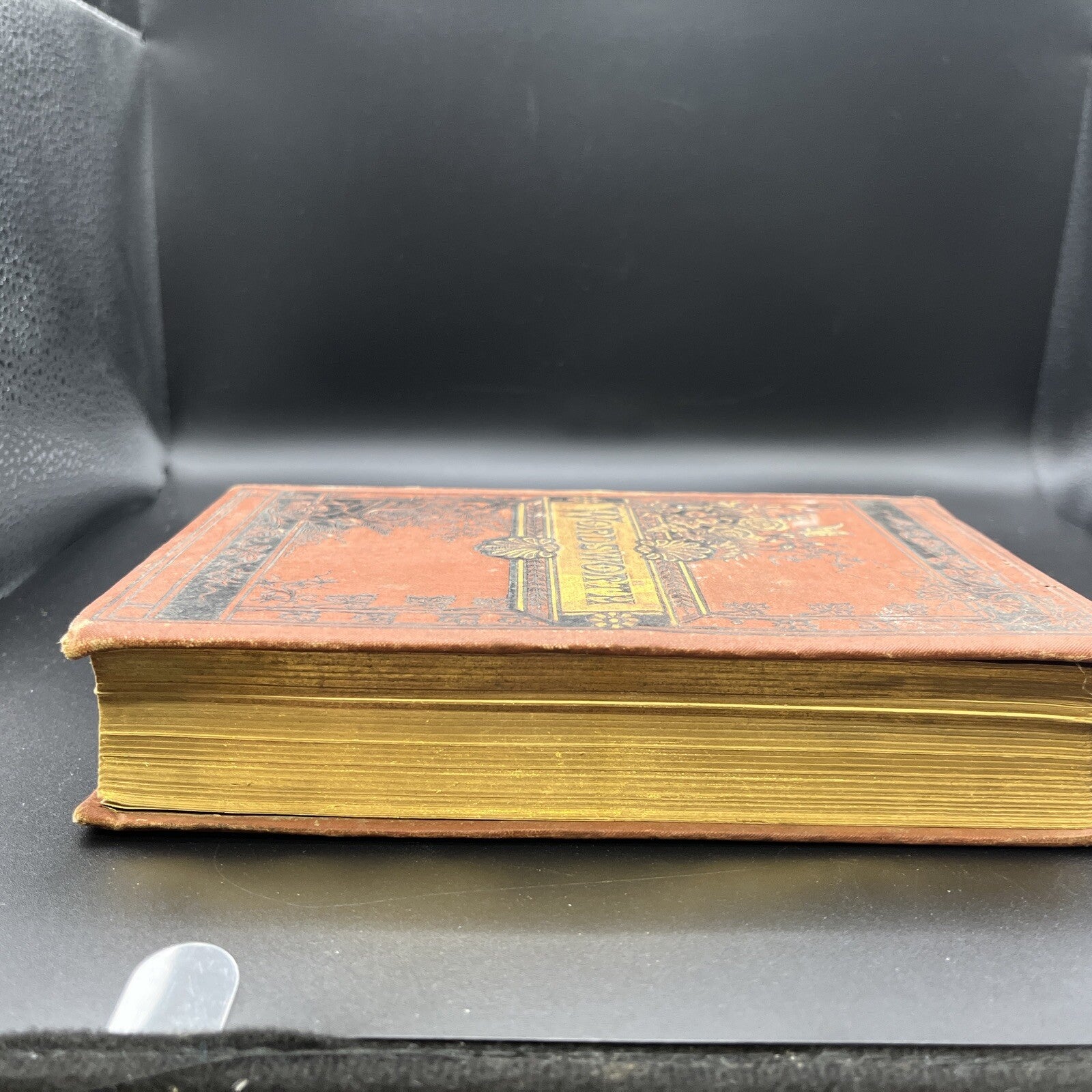 The Poetical Works Of William Wordsworth Complete Excelsior Edition Antique Book