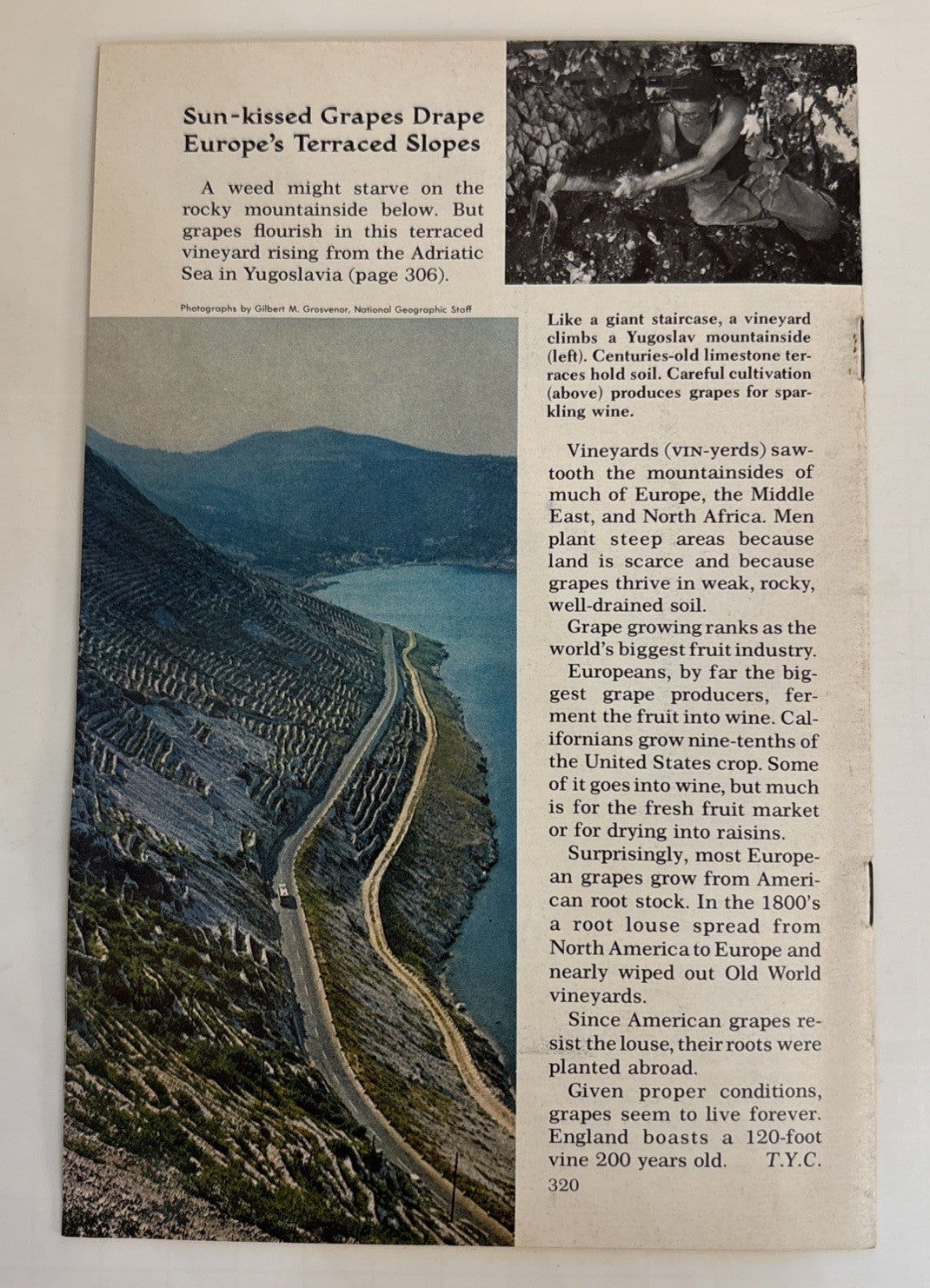 National Geographic School Bulletins Feb-May & Sept 1965 Lot of 5