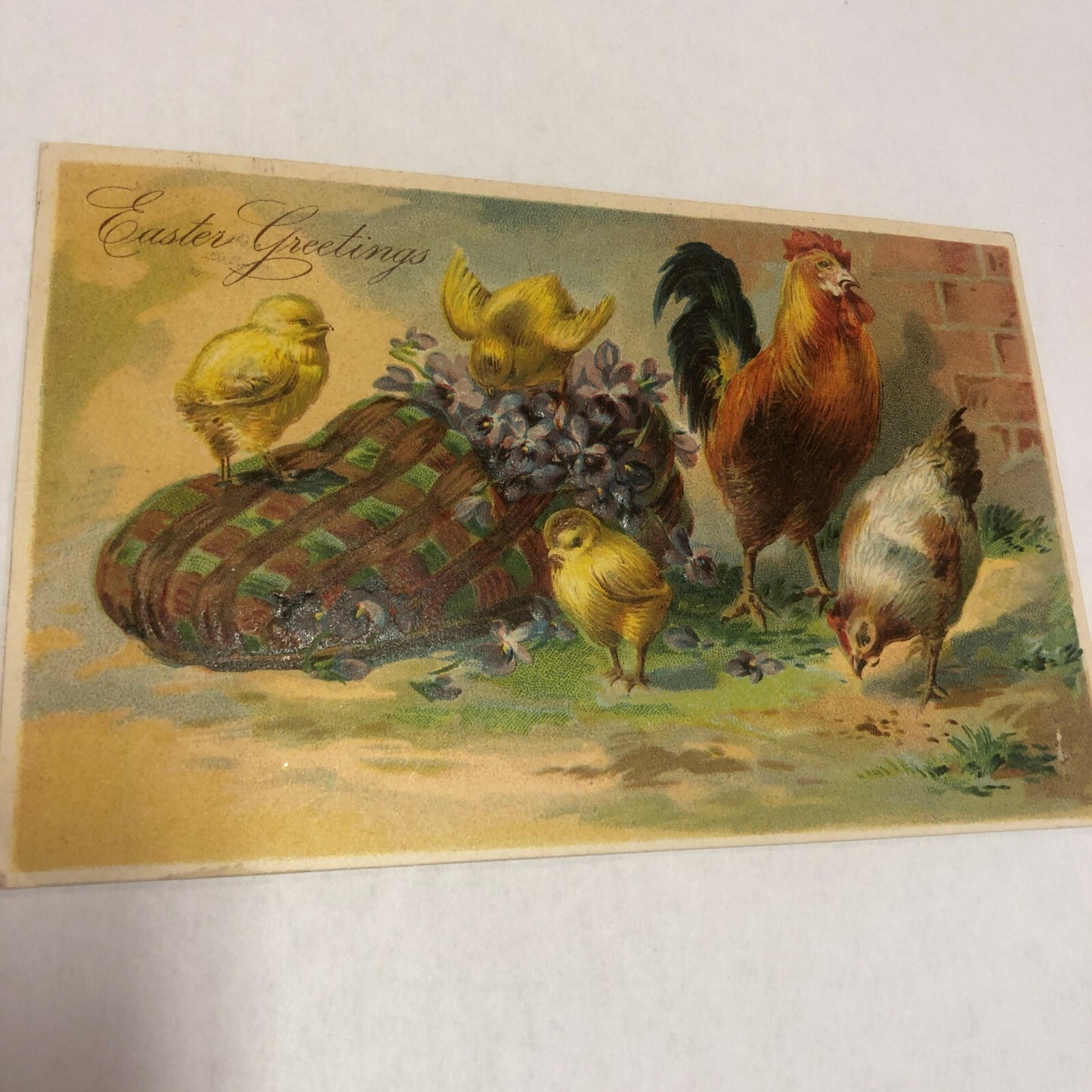 Fabulous Vintage Easter Rooster, Hen Chicks with Old Shoe Slipper Postcard